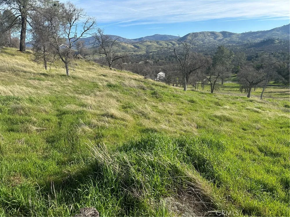 3228 Wild Rose Court Catheys Valley, CA 95306