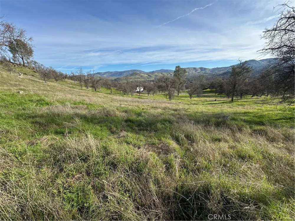 3228 Wild Rose Court Catheys Valley, CA 95306