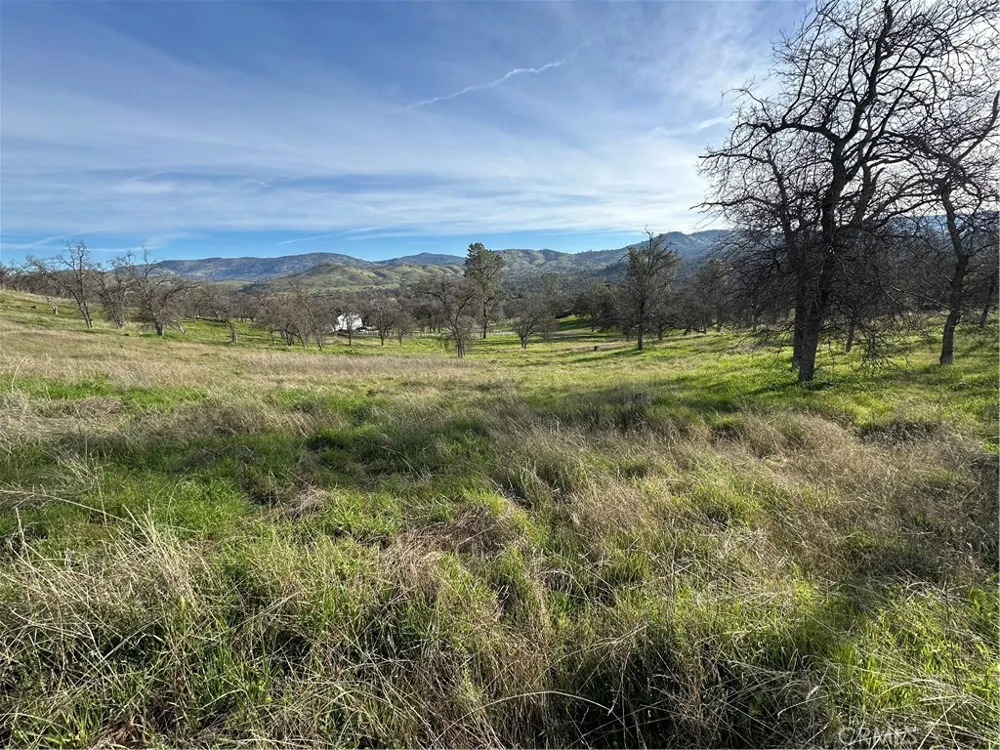 3228 Wild Rose Court Catheys Valley, CA 95306