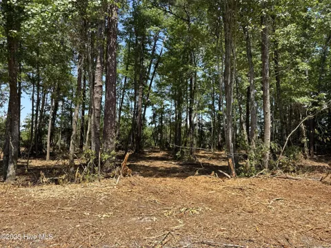 Lot 4 Near 4102 Swamp Fox (Lot 4) Highway W