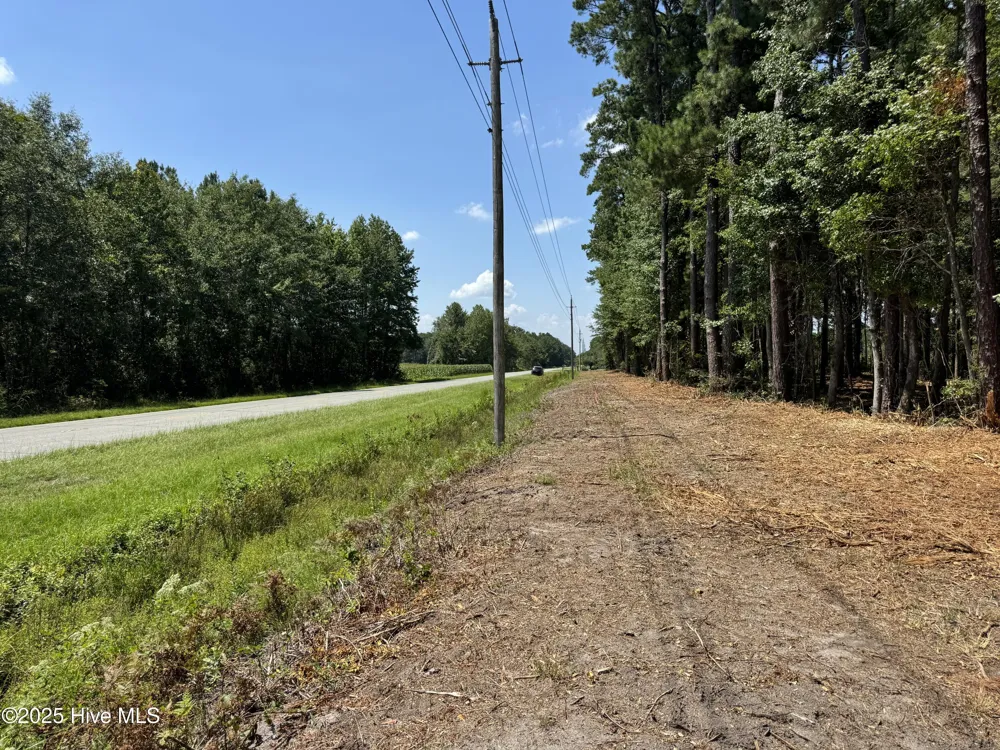 Lot 4 Near 4102 Swamp Fox (Lot 4) Highway W Tabor City, NC 28463