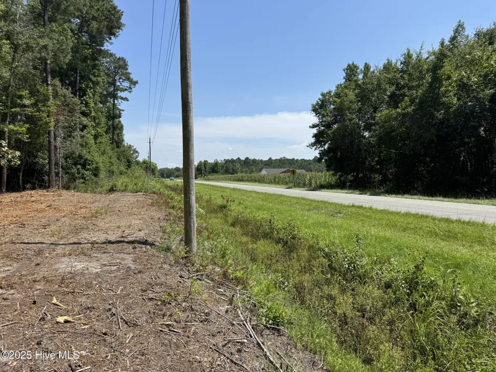 Lot 4 Near 4102 Swamp Fox (Lot 4) Highway W Tabor City, NC 28463