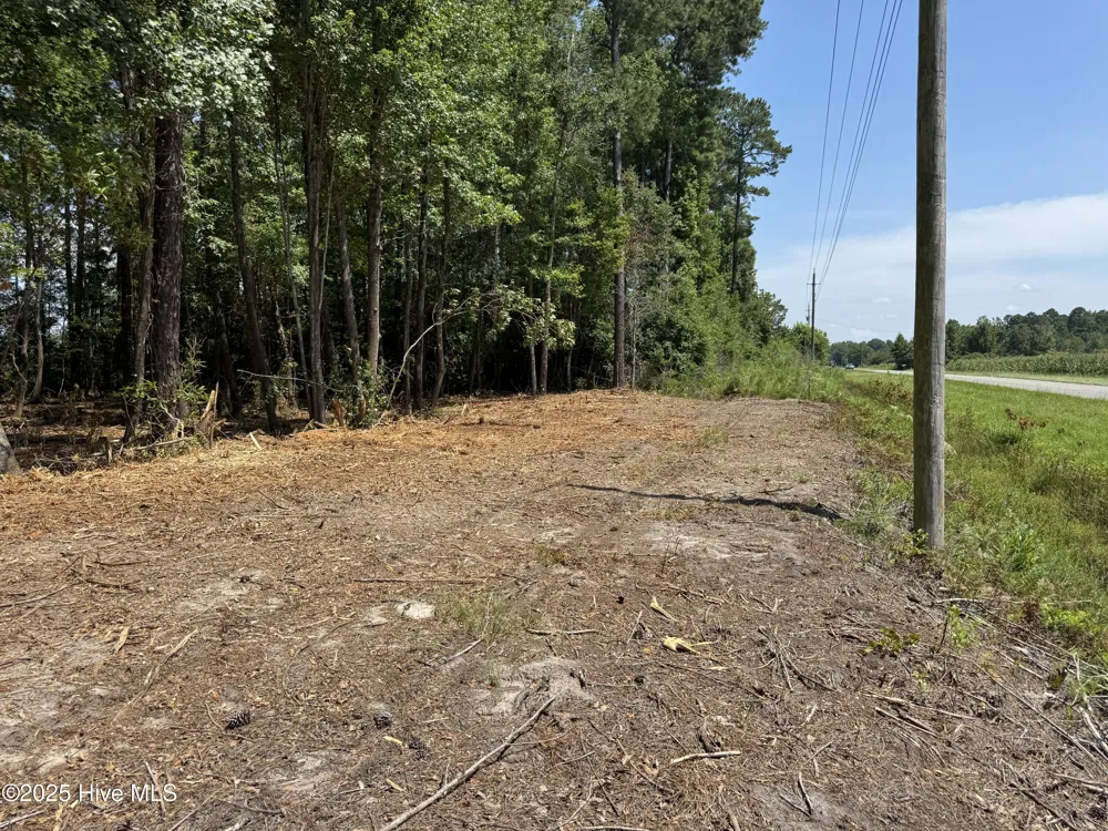Lot 4 Near 4102 Swamp Fox (Lot 4) Highway W Tabor City, NC 28463