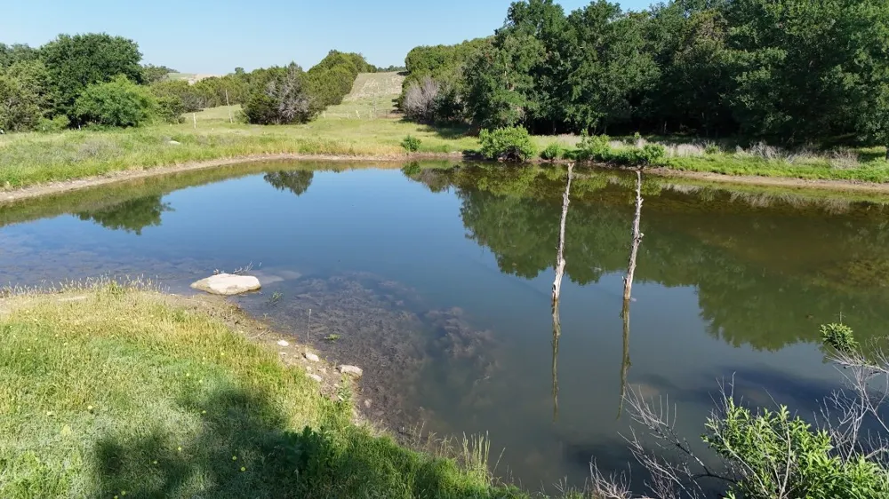 2801 Wind Point Court Tolar, TX 76476
