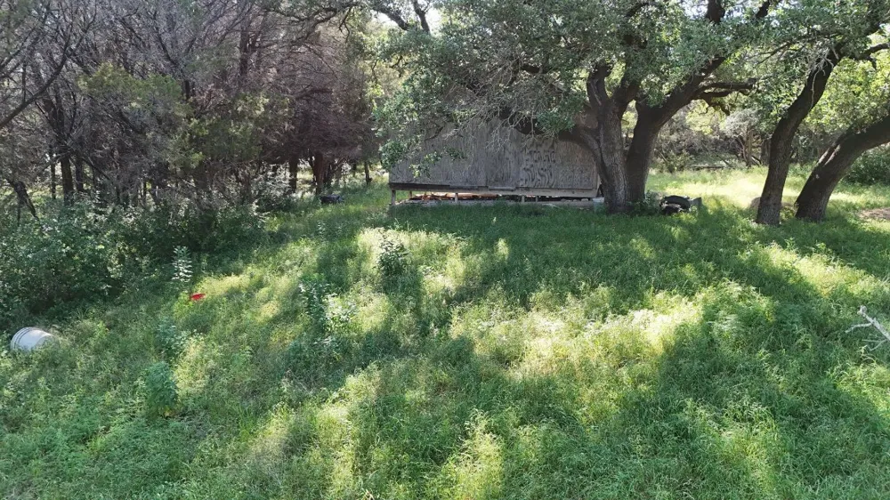 2801 Wind Point Court Tolar, TX 76476