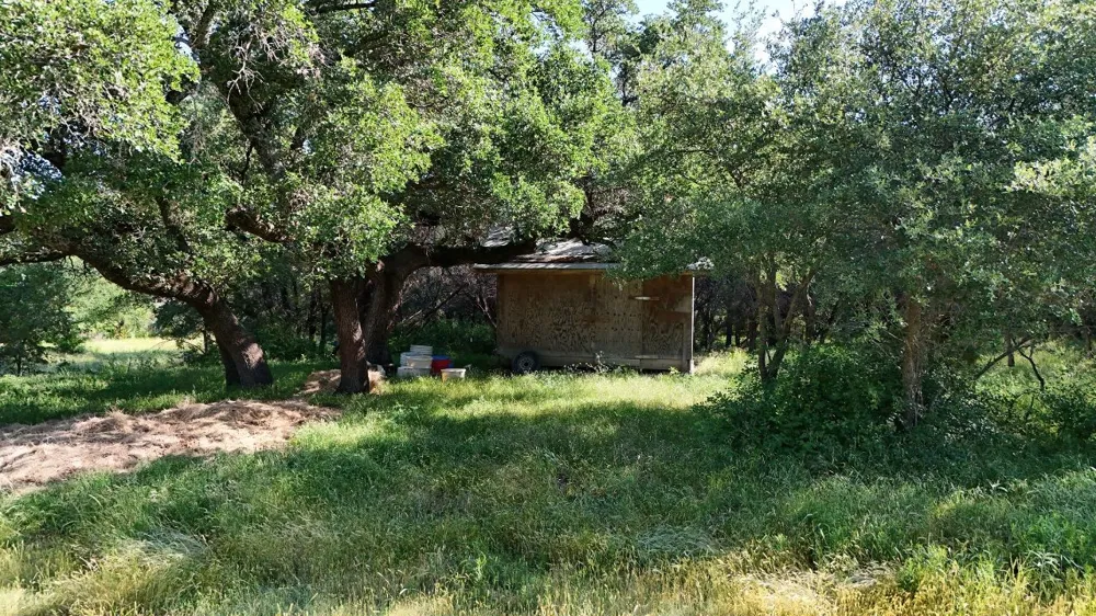 2801 Wind Point Court Tolar, TX 76476