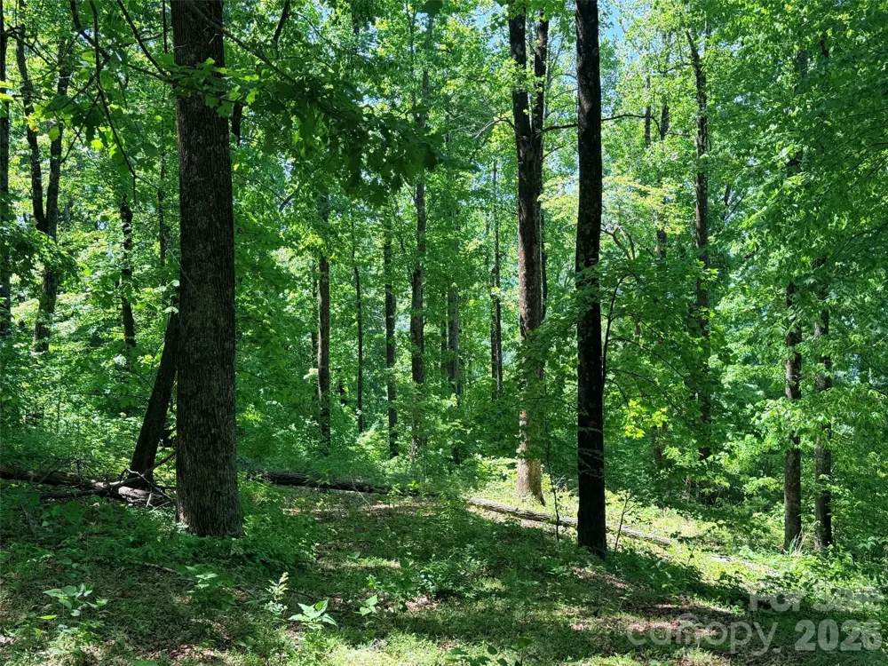 Lot 10 Timbercliff Trail Black Mountain, NC 28711