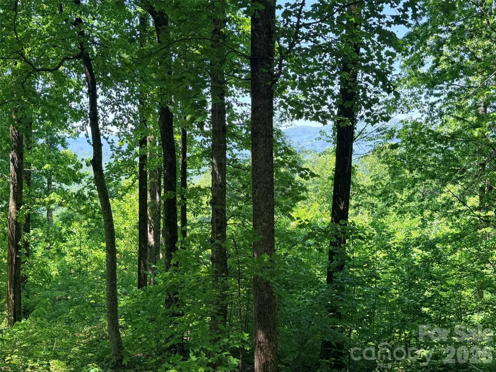 Lot 10 Timbercliff Trail Black Mountain, NC 28711