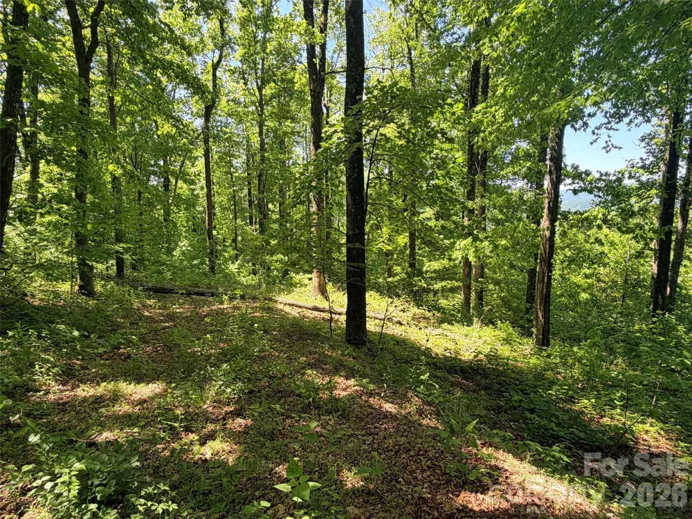 Lot 10 Timbercliff Trail Black Mountain, NC 28711