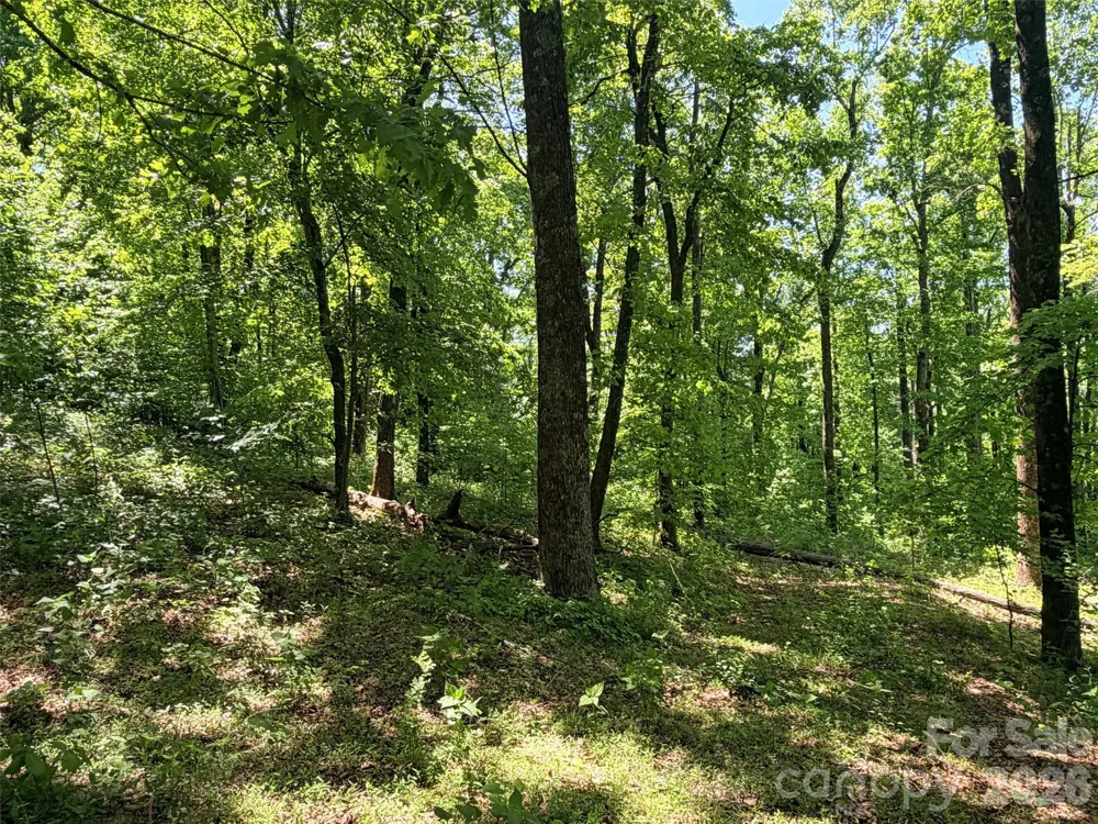 Lot 10 Timbercliff Trail Black Mountain, NC 28711