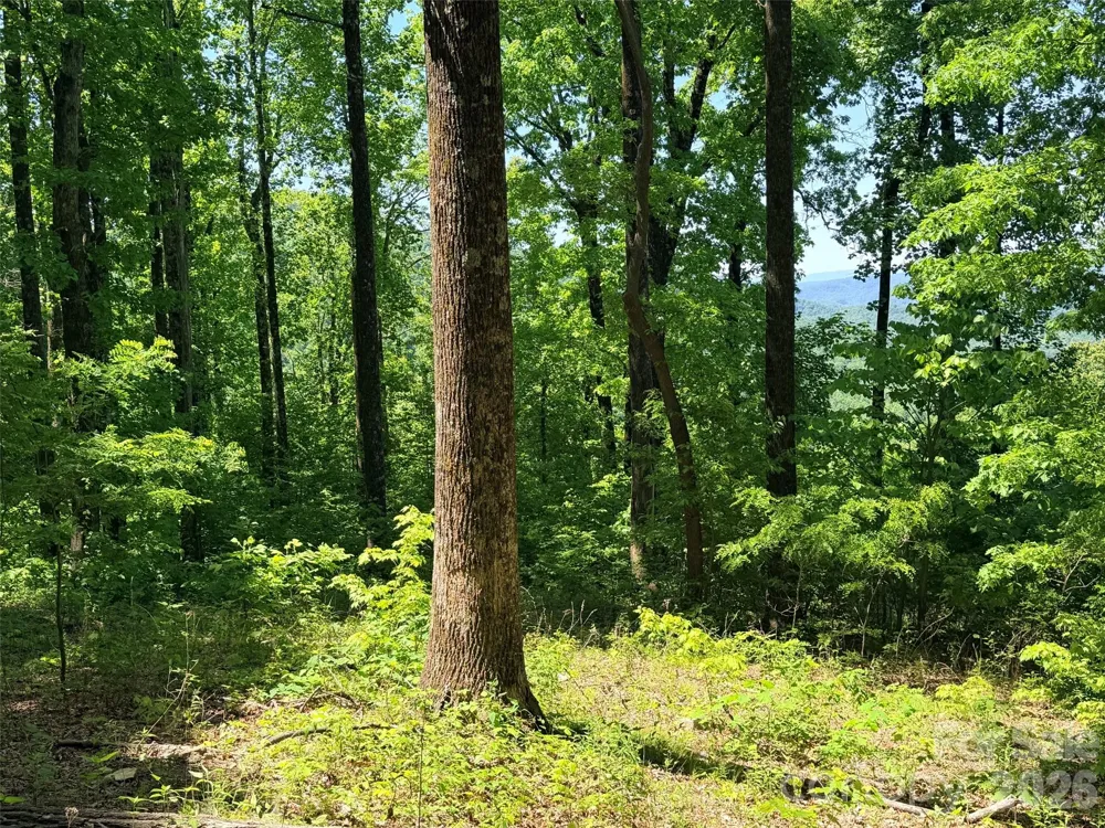 Lot 10 Timbercliff Trail Black Mountain, NC 28711
