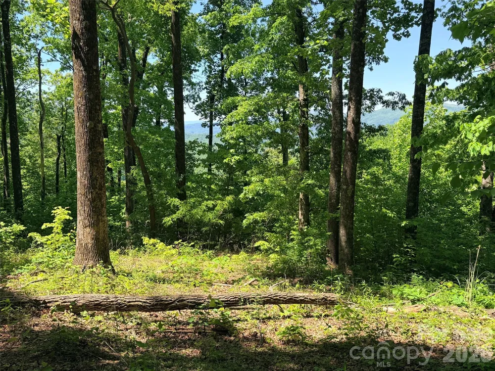 Lot 10 Timbercliff Trail Black Mountain, NC 28711