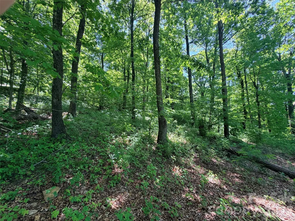 Lot 10 Timbercliff Trail Black Mountain, NC 28711