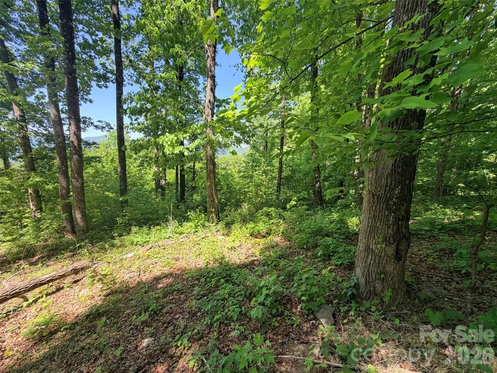 Lot 10 Timbercliff Trail Black Mountain, NC 28711