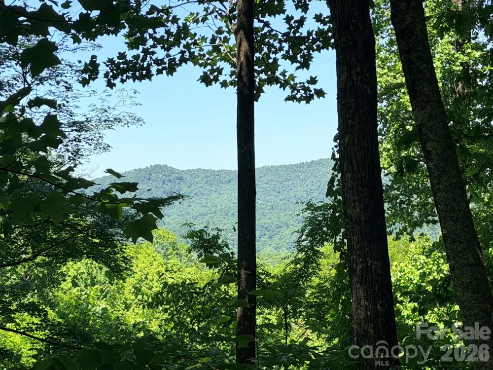 Lot 10 Timbercliff Trail Black Mountain, NC 28711