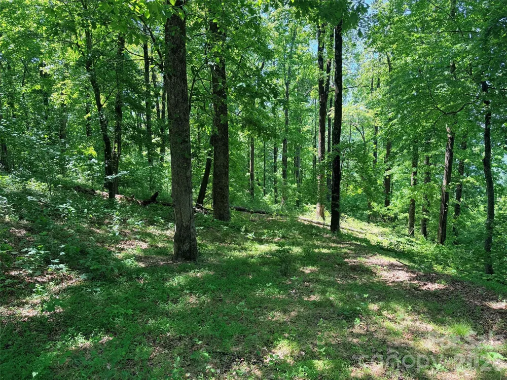 Lot 10 Timbercliff Trail Black Mountain, NC 28711