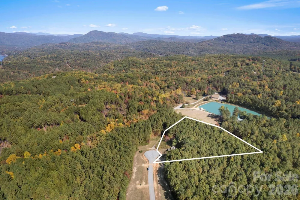 105 Palisade Drive Mill Spring, NC 28756
