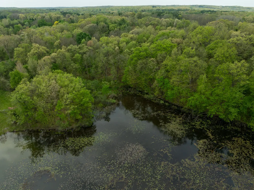 Tipsico Lake Rd Parcel A Fenton, MI 48430