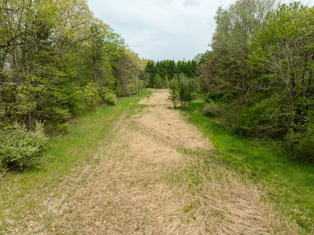 Tipsico Lake Rd Parcel A Fenton, MI 48430