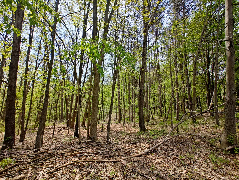 Tipsico Lake Rd Parcel A Fenton, MI 48430