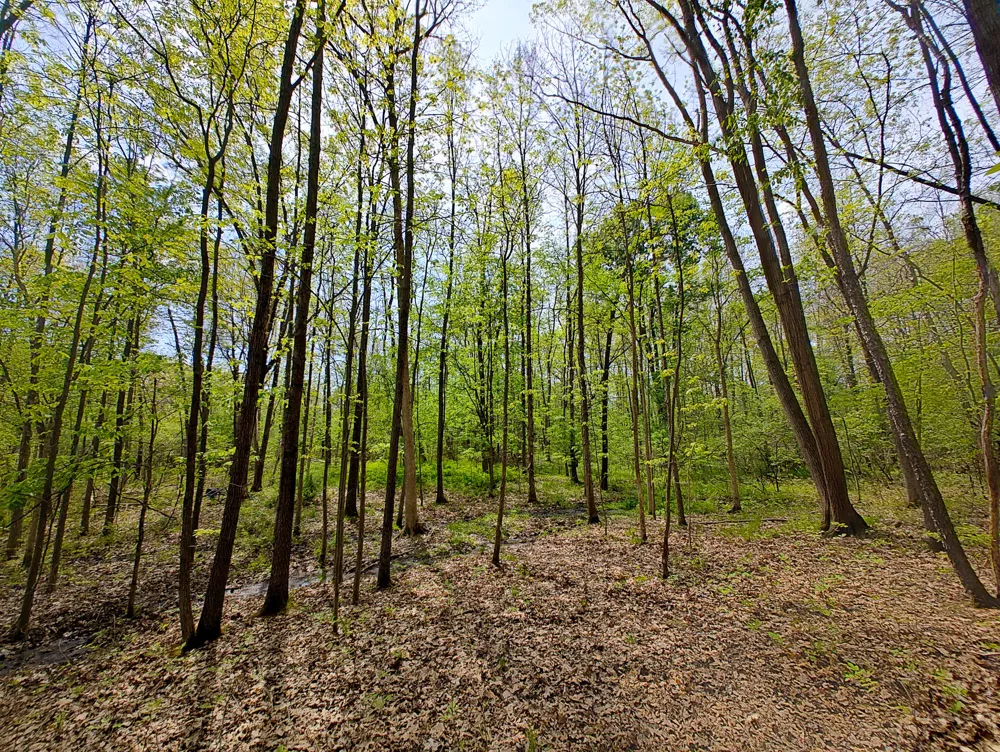 Tipsico Lake Rd Parcel A Fenton, MI 48430