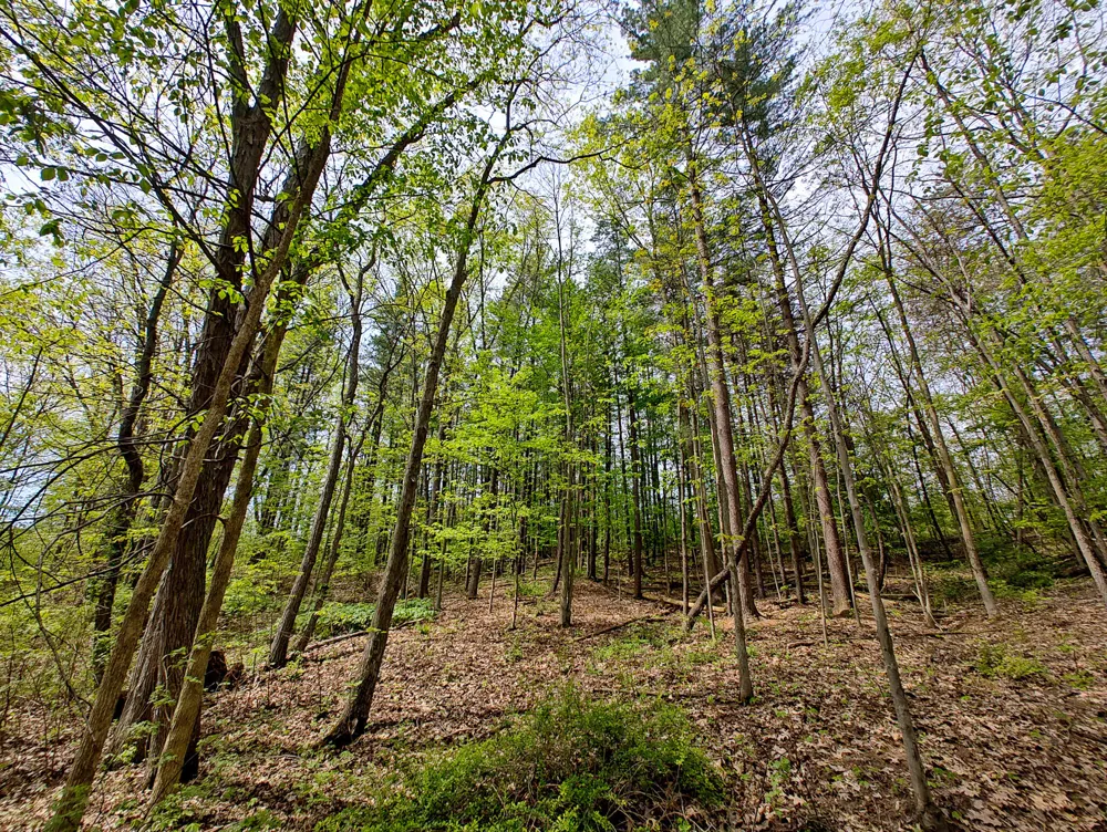 Tipsico Lake Rd Parcel A Fenton, MI 48430