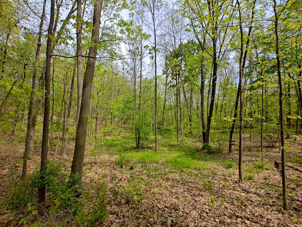 Tipsico Lake Rd Parcel A Fenton, MI 48430