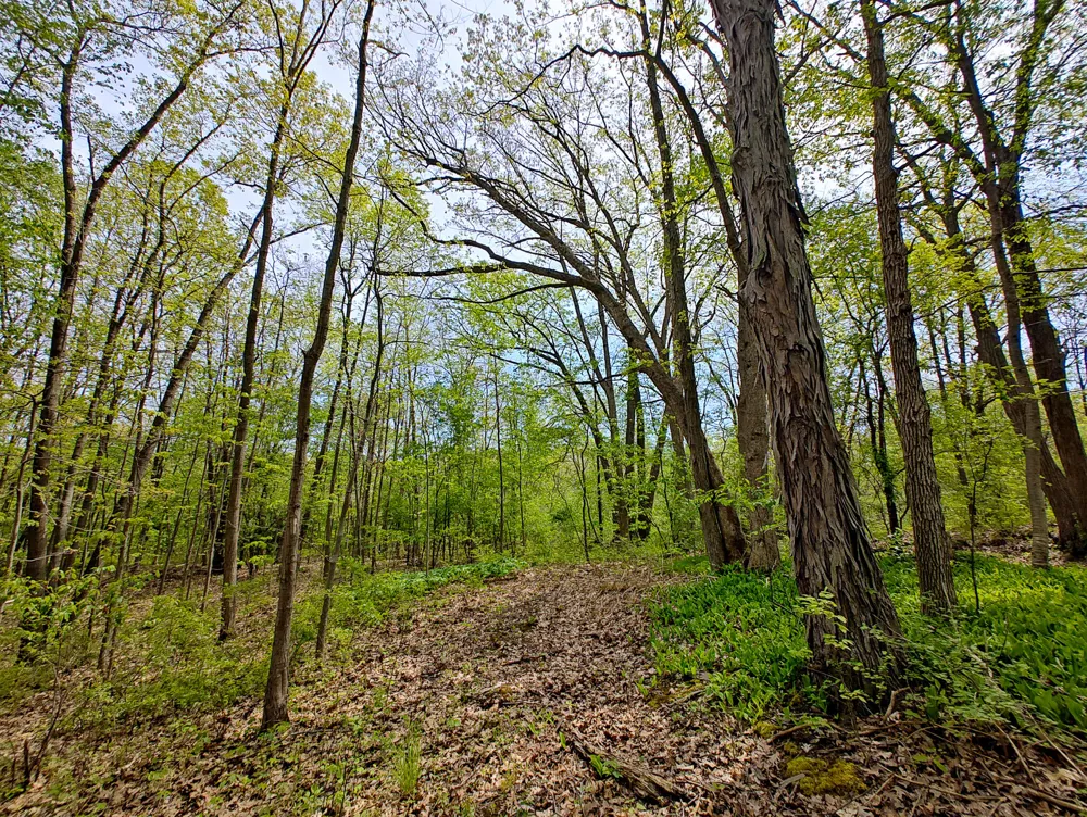 Tipsico Lake Rd Parcel A Fenton, MI 48430