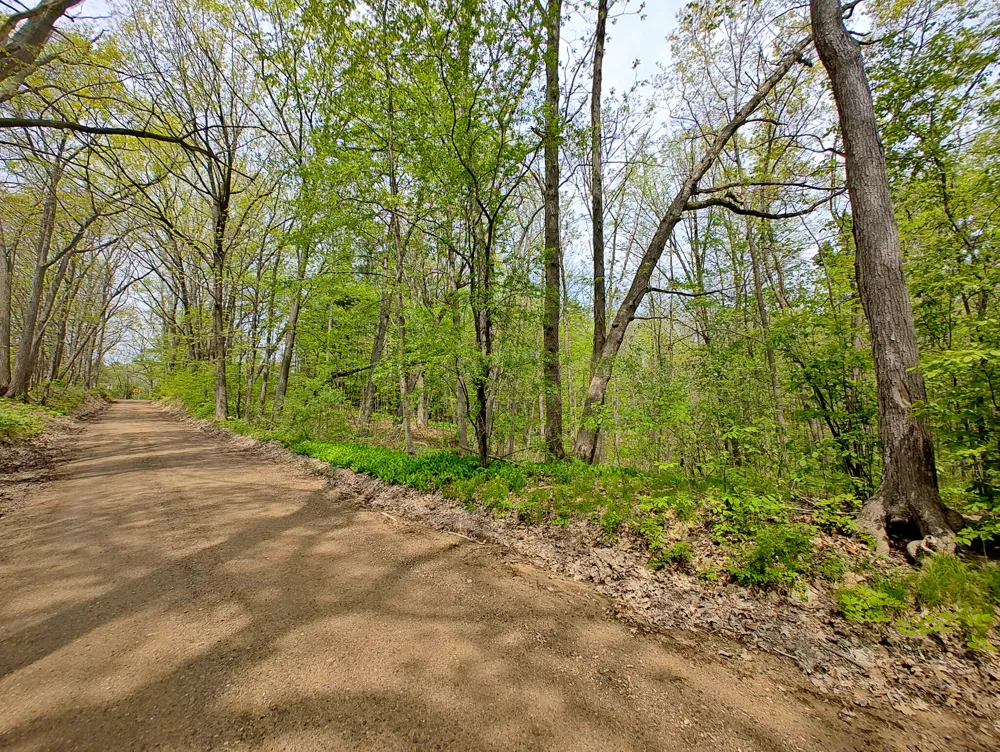 Tipsico Lake Rd Parcel A Fenton, MI 48430