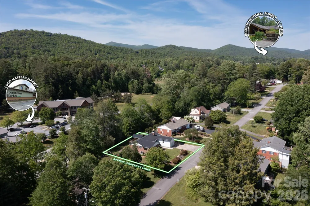 75 Hawthorne Drive Brevard, NC 28712