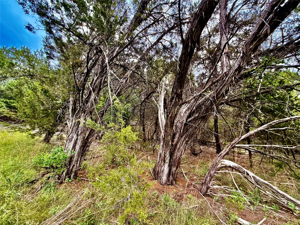 2017 County Road 222 Kempner, TX 76539