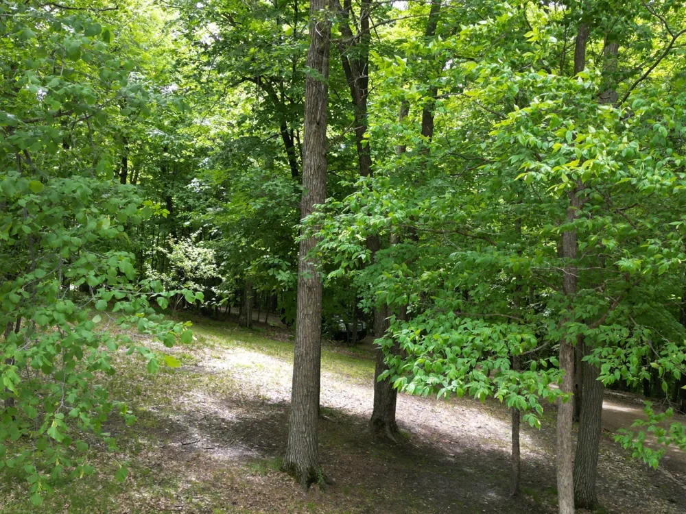 46885 260th Avenue Vergas, MN 56587
