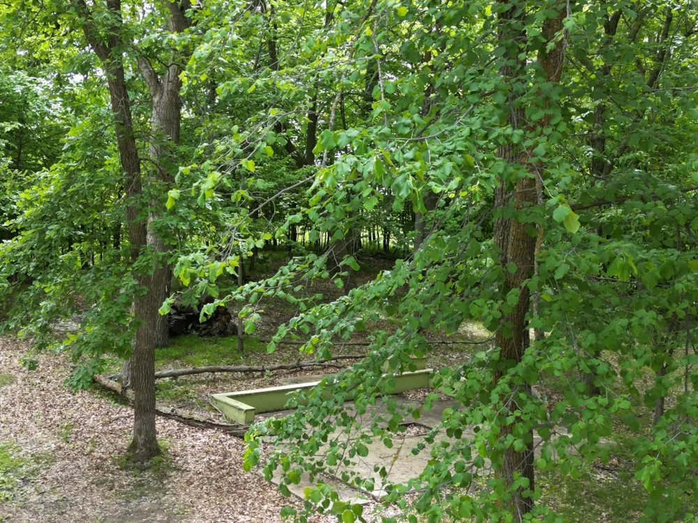 46885 260th Avenue Vergas, MN 56587