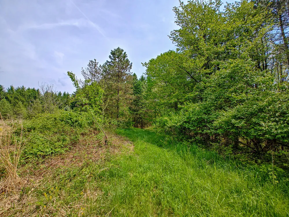 VL Tipsico Lake Rd Parcel B Fenton, MI 48430