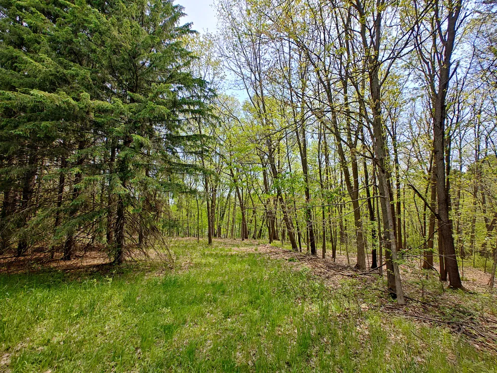 VL Tipsico Lake Rd Parcel B Fenton, MI 48430