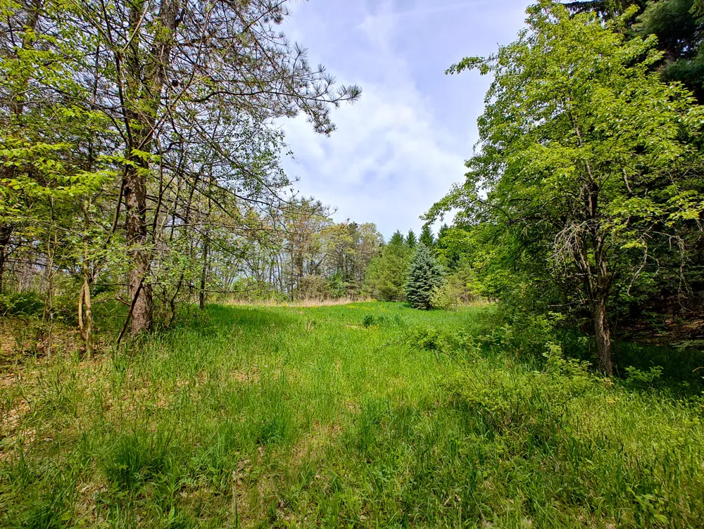 VL Tipsico Lake Rd Parcel B Fenton, MI 48430