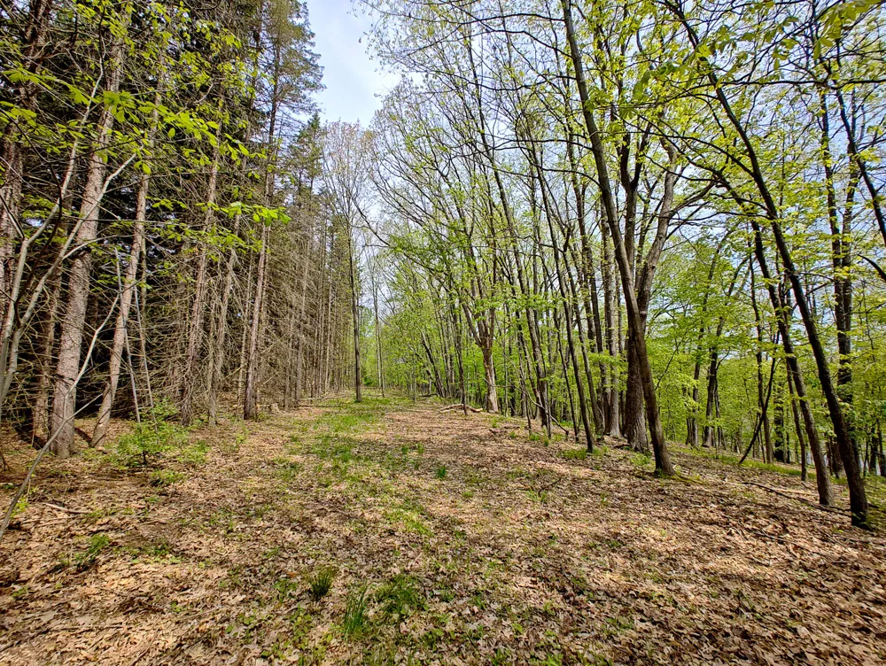 VL Tipsico Lake Rd Parcel B Fenton, MI 48430