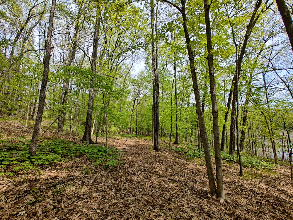 VL Tipsico Lake Rd Parcel B Fenton, MI 48430