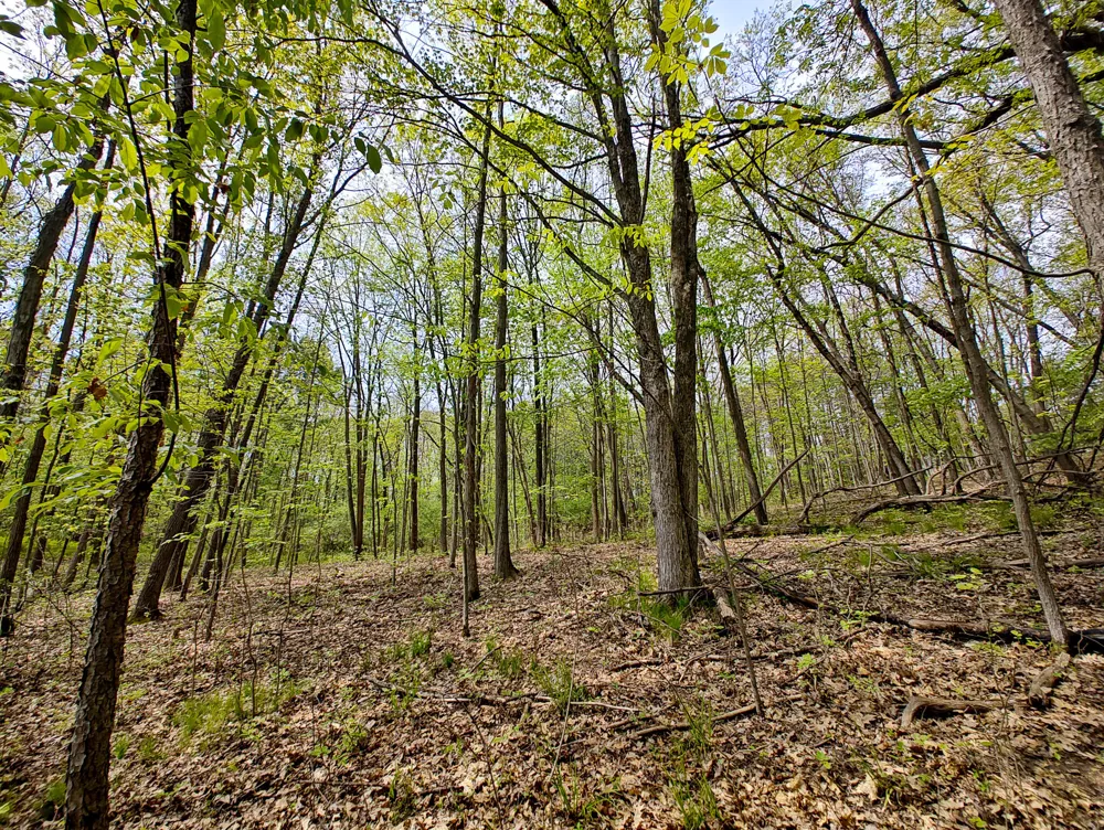 VL Tipsico Lake Rd Parcel B Fenton, MI 48430