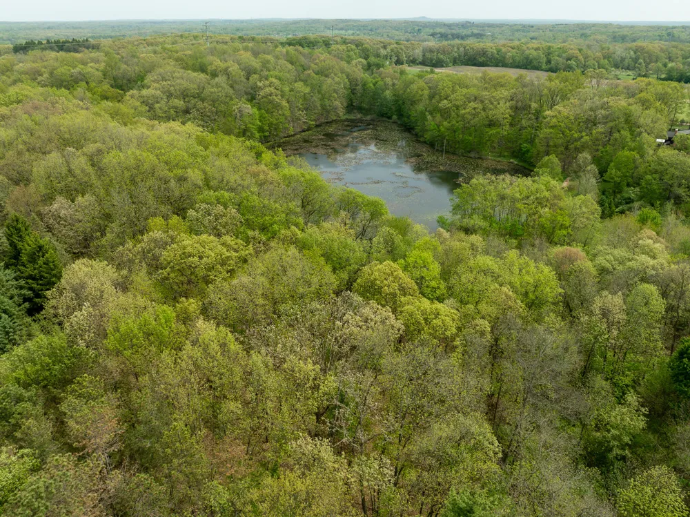 VL Tipsico Lake Rd Parcel B Fenton, MI 48430