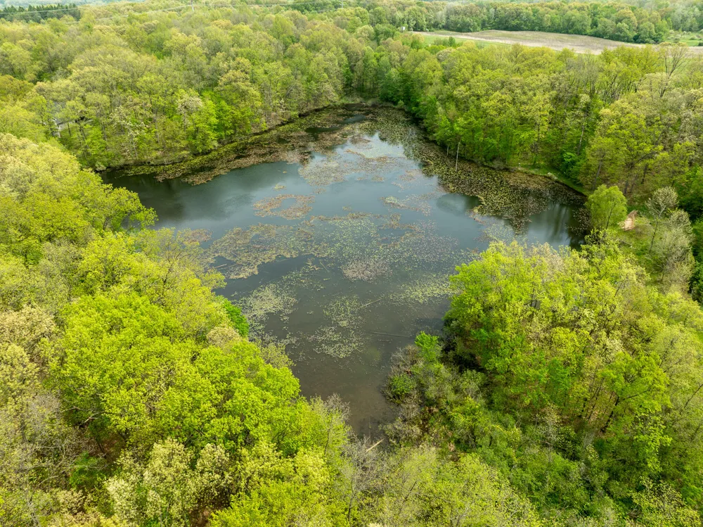 VL Tipsico Lake Rd Parcel B Fenton, MI 48430