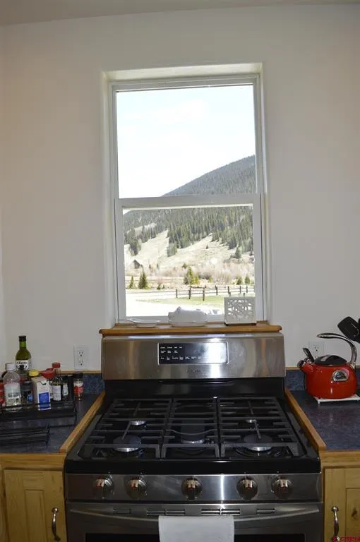 1125 Cement Street Silverton, CO 81433