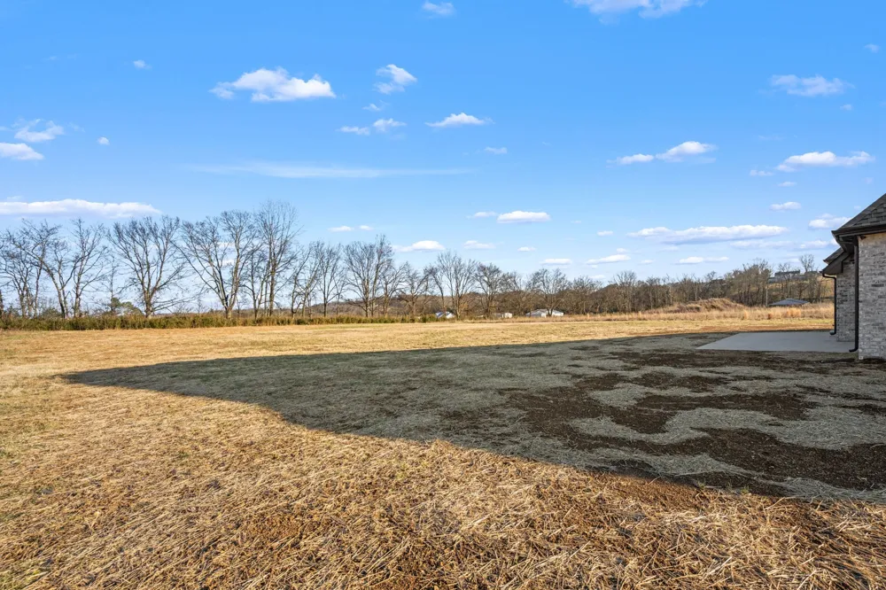 116 Dandelion Ln Beechgrove, TN 37018