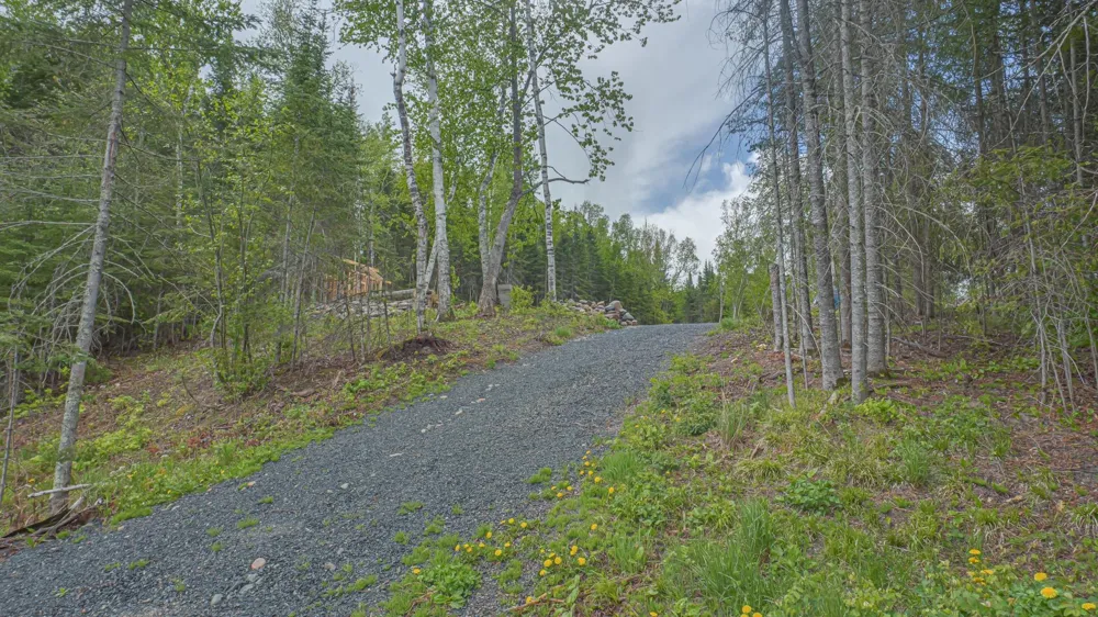 53549 Little Bear Trail Bigfork, MN 56657