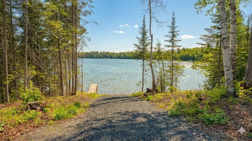 53549 Little Bear Trail Bigfork, MN 56657