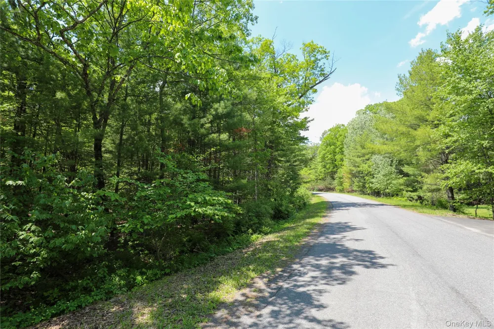 TBD Bristol Hill Road Hurley, NY 12443