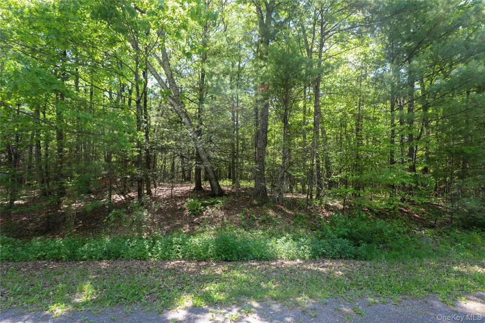 TBD Bristol Hill Road Hurley, NY 12443