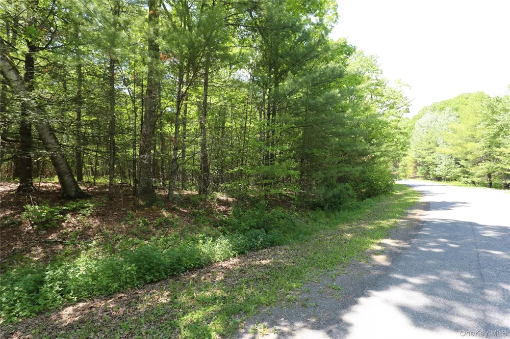 TBD Bristol Hill Road Hurley, NY 12443