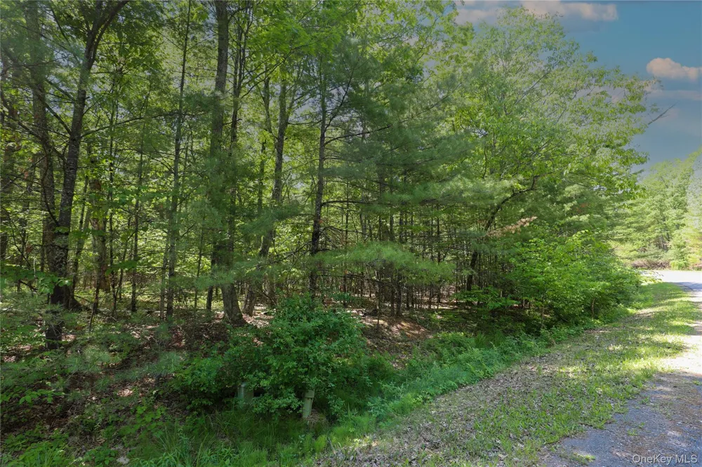 TBD Bristol Hill Road Hurley, NY 12443