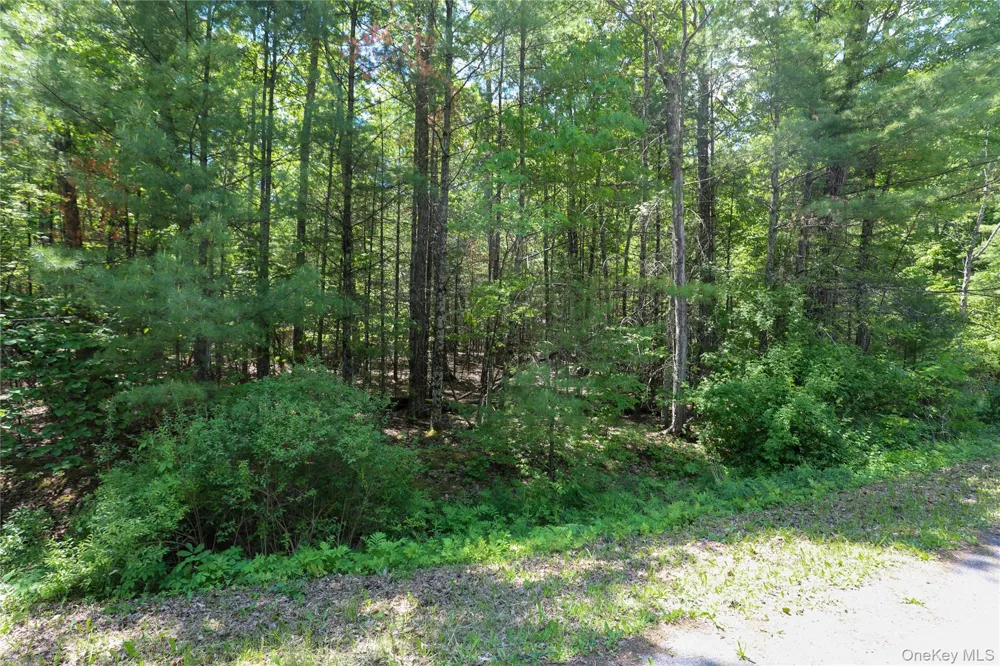 TBD Bristol Hill Road Hurley, NY 12443